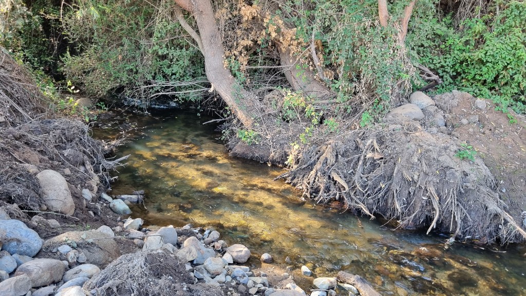 Quebrada con agua cristalina entre rocas y vegetación nativa, reflejos de sol en el agua