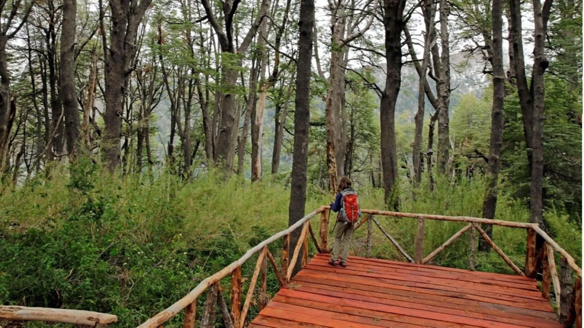 Reserva Altos de Lircay