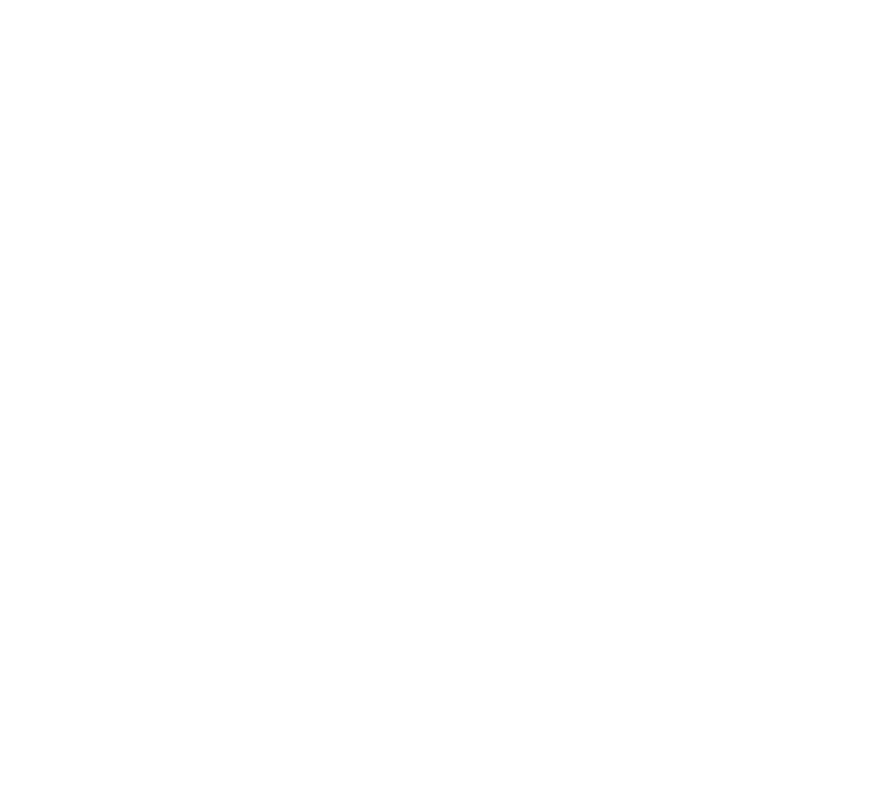 logo fundo lircay bn